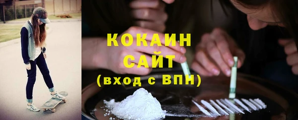 тгк Бердск